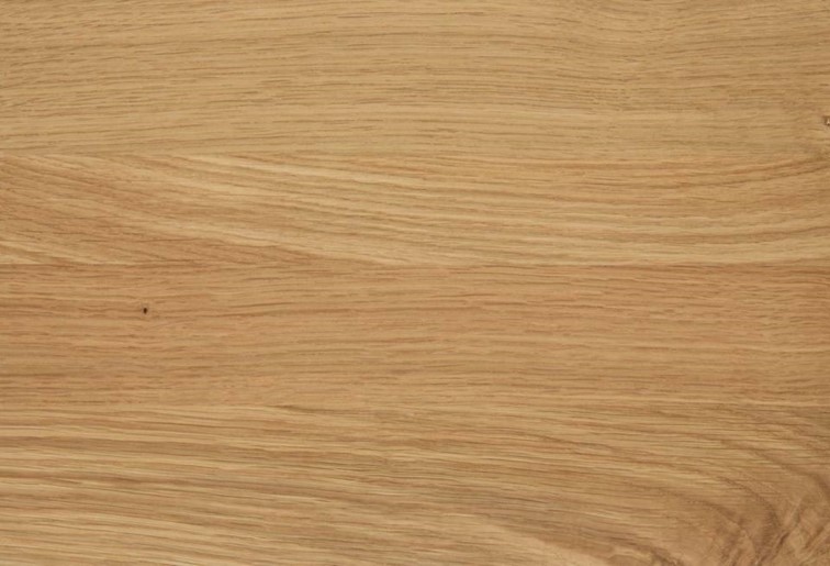 Stolik Kawowy ESSEX 120x60cm Dąb