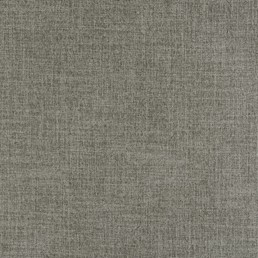 Tkanina DISCOVERY 01 Szary (mb)