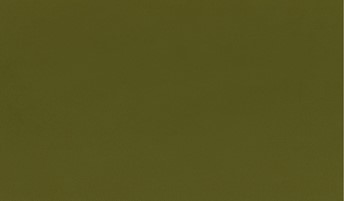 Tkanina Charles Olive 42 Oliwkowy
