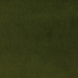 Tkanina VELLUTI 376 Zielony (mb)
