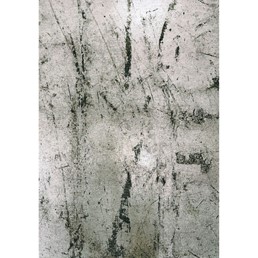 Dywan SOL ALPINE 9787 170x240 cm Zielony