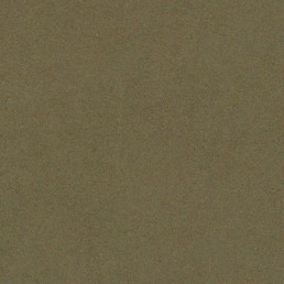 Tkanina HOGAN 74 Oliwkowy (1 mb)