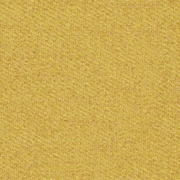 Tkanina BALDAR 66 Musztardowy (1 mb)