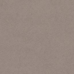 Tkanina HOGAN 28 Beżowy (1 mb)