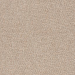 Tkanina BORG 24 Beżowy (1 mb)